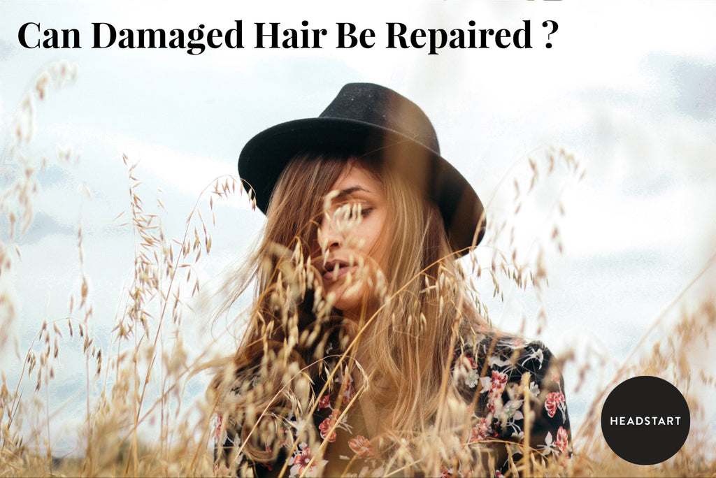 Can Damaged Hair be Repaired?